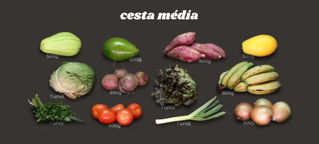 Cesta Média