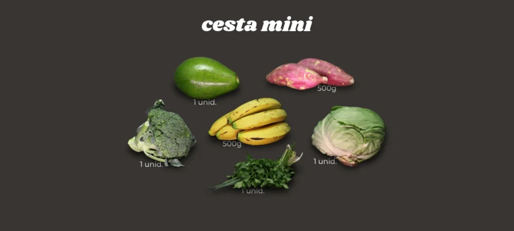 Cesta Mini